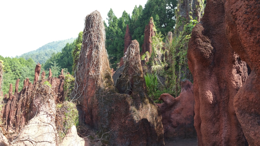 20161030_130544.jpg
