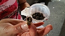 20161027_203052.jpg
