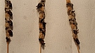 20161027_215209.jpg