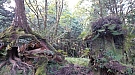 20161029_081628.jpg
