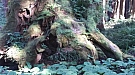 20161029_084234.jpg