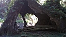 20161029_084417.jpg