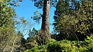 20161029_092058.jpg