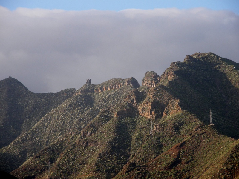 P3010552.jpg