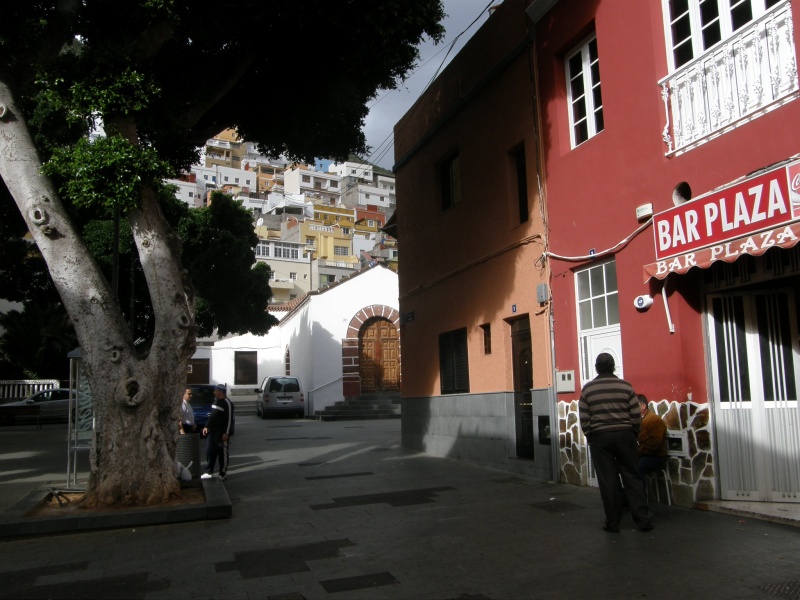 P3020604.jpg