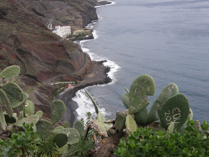 P3020627.jpg