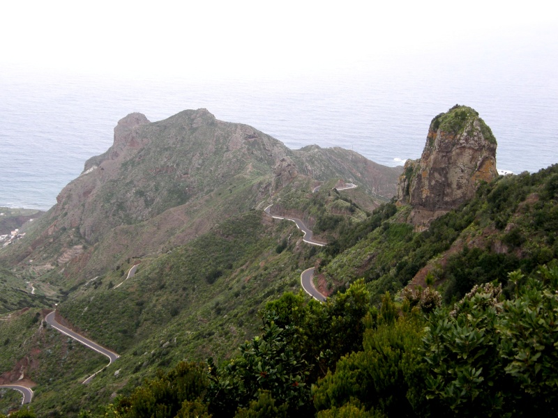 P3020632.jpg