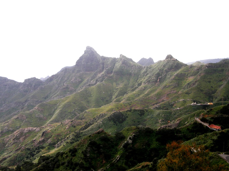 P3020648.jpg
