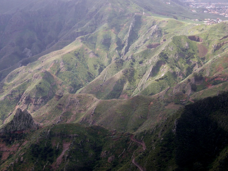 P3020654.jpg