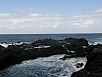 P3020695.jpg