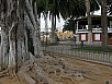 P3020737.jpg