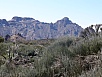 P3030827.jpg