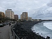 P3030923.jpg