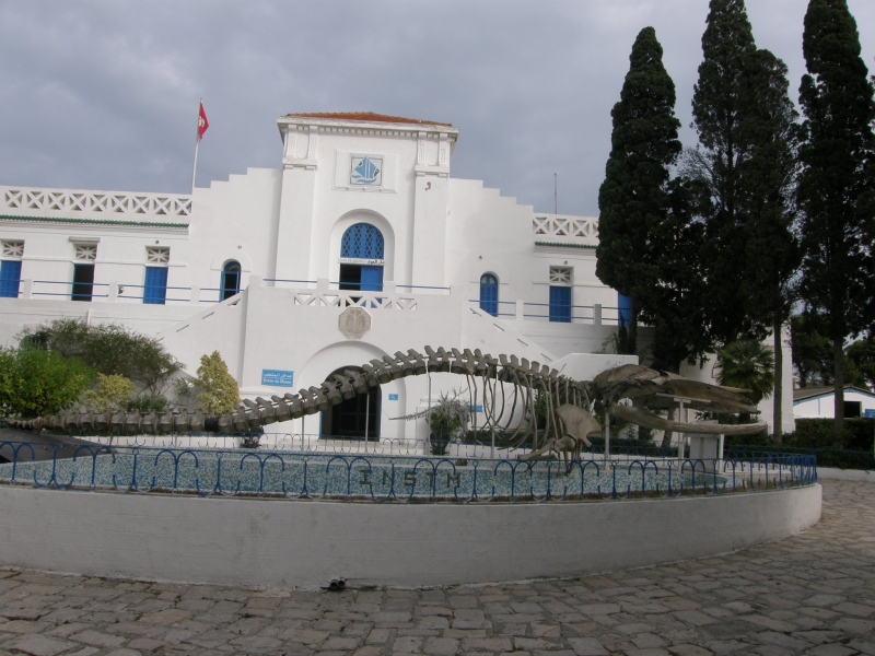 PA210077.jpg