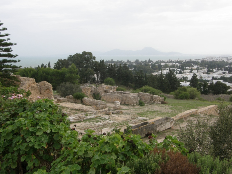 PA210091.jpg