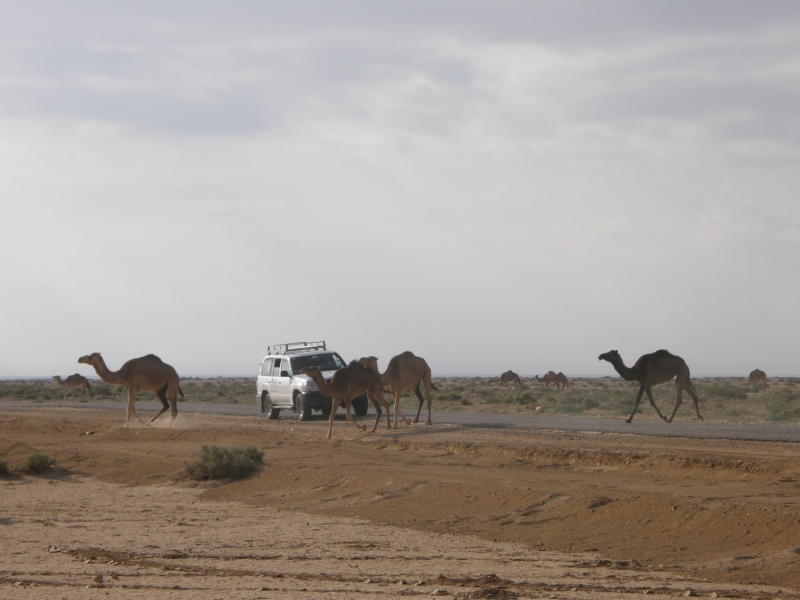 PA230289.jpg