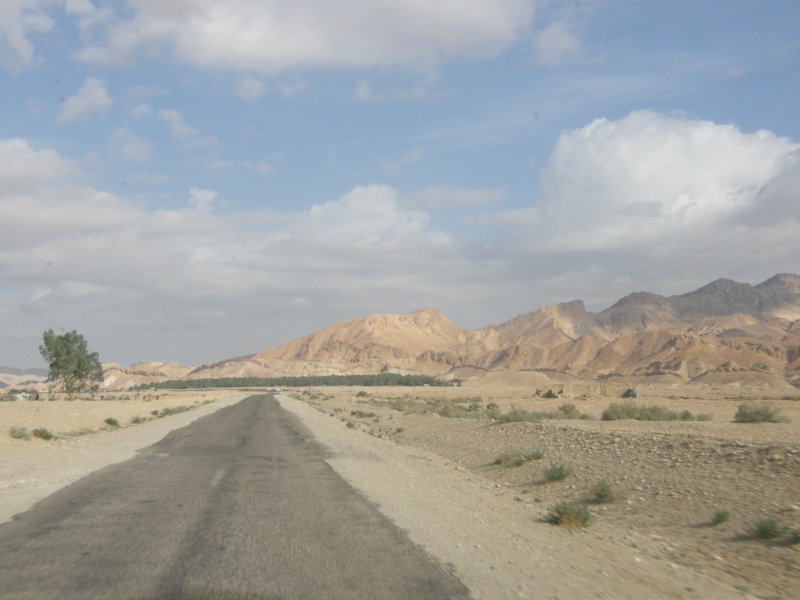 PA230295.jpg