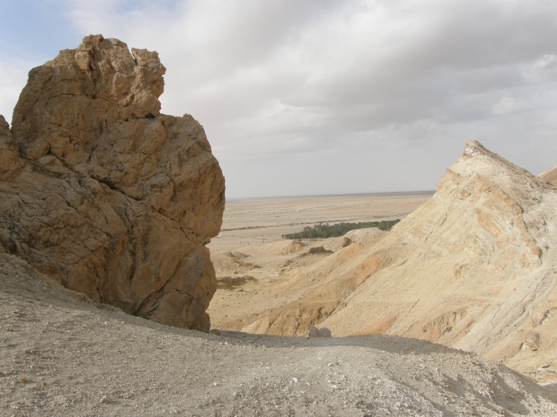 PA230335.jpg