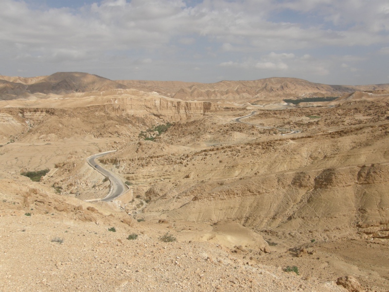 PA230351.jpg