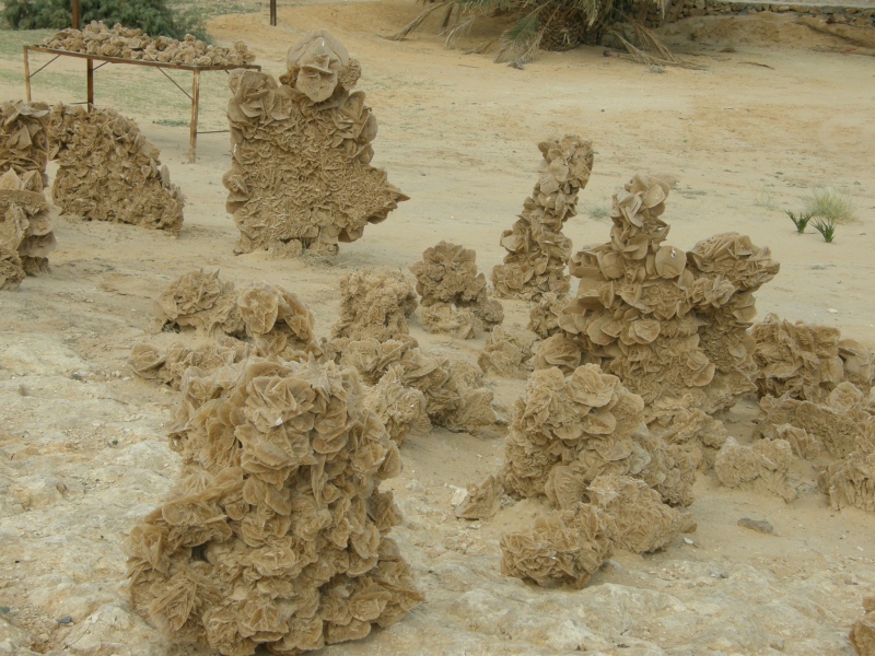 PA230369.jpg