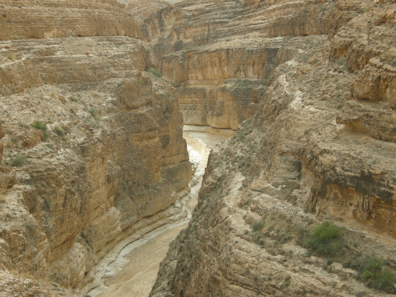 PA230384.jpg