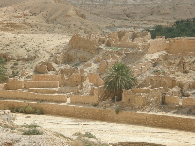 PA230395.jpg