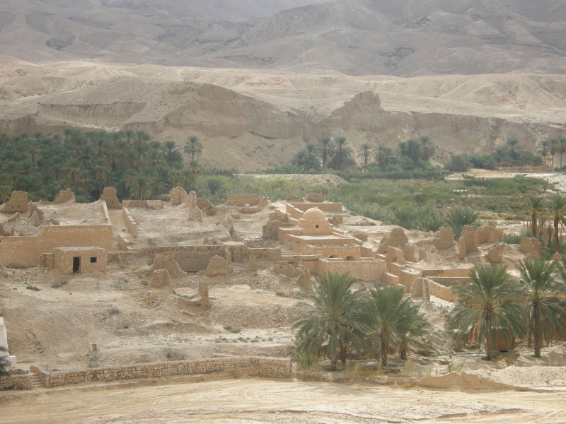 PA230399.jpg