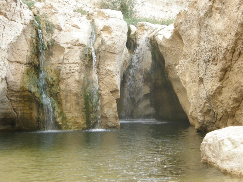 PA230422.jpg