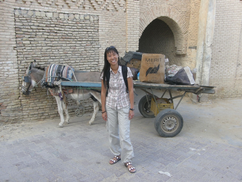 PA230465.jpg