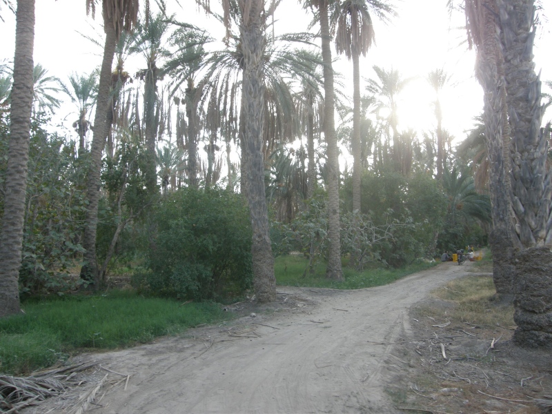 PA230477.jpg