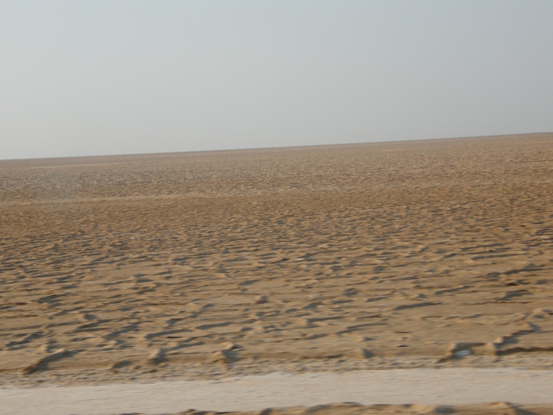 PA240524.jpg