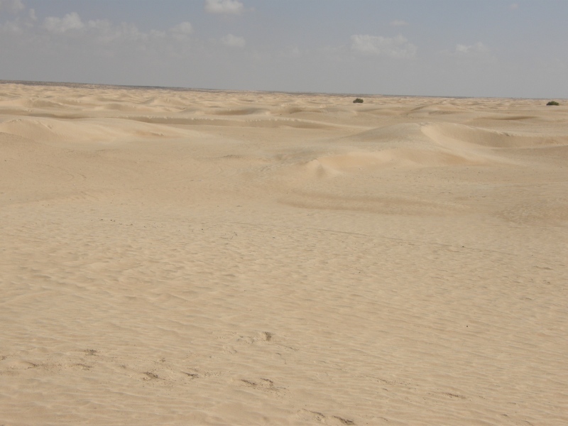 PA240601.jpg