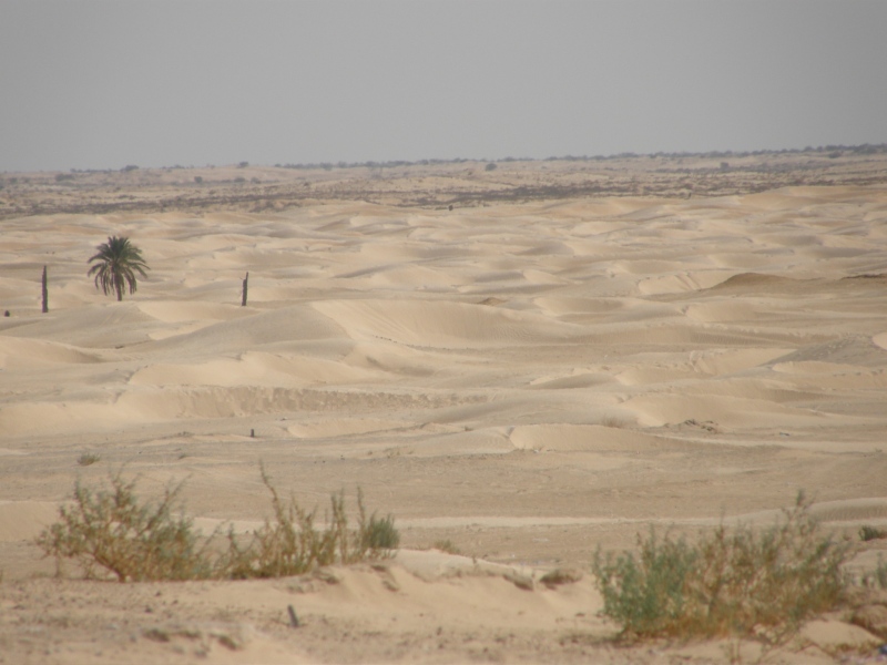 PA240627.jpg