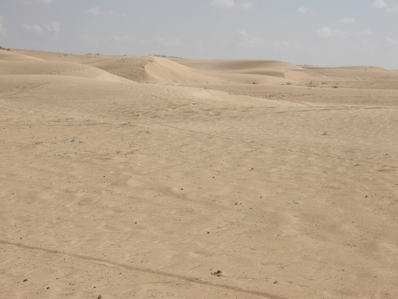 PA240630.jpg