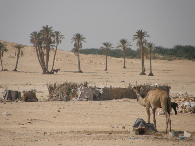 PA240634.jpg