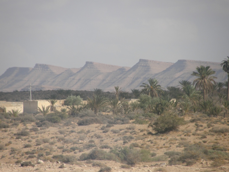 PA240646.jpg