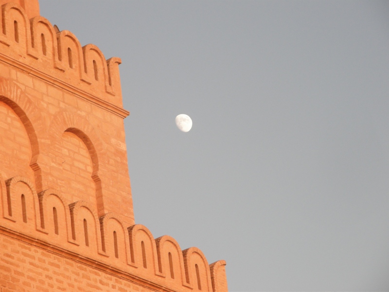 PA250855.jpg