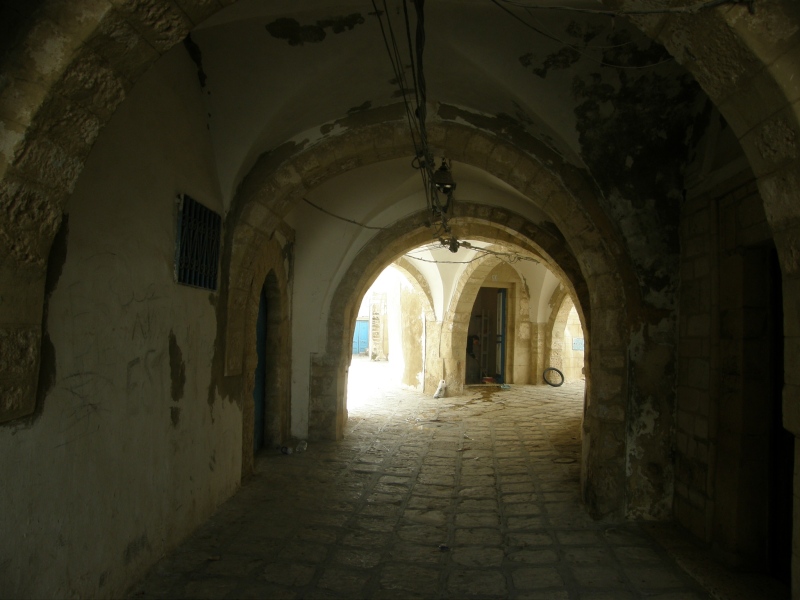 PA260915.jpg