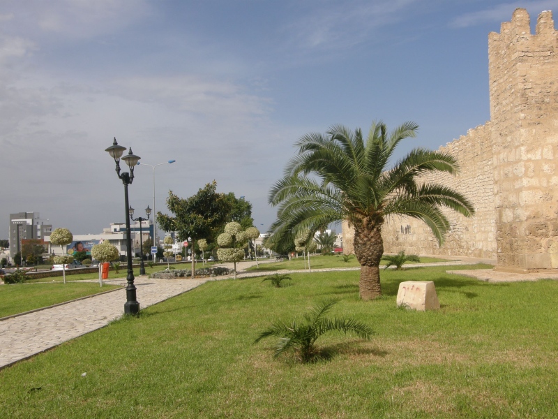 PA260933.jpg