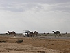 PA230289.jpg