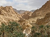PA230305.jpg