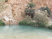 PA230318.jpg