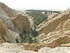 PA230325.jpg
