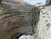 PA230374.jpg