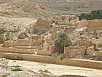 PA230395.jpg