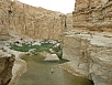 PA230401.jpg