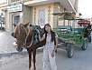 PA230472.jpg