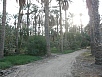 PA230477.jpg
