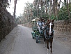 PA230481.jpg