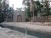 PA230483.jpg